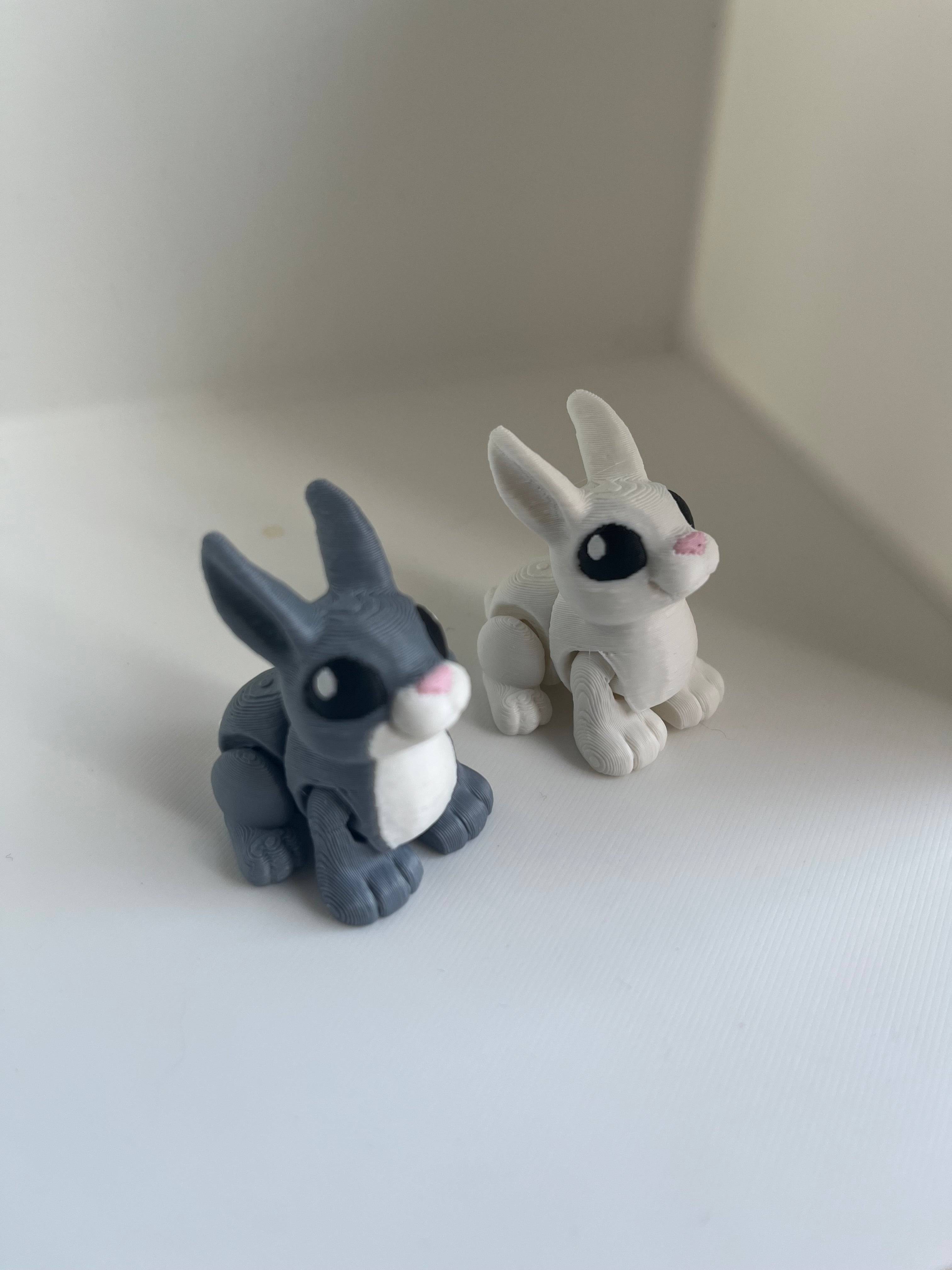 Mini flexi bunny